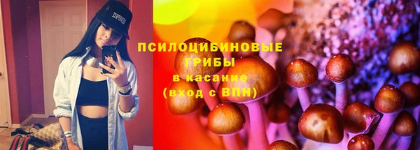 дживик Белокуриха