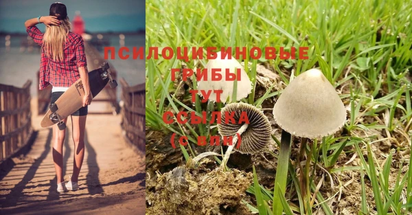 кокс Беломорск