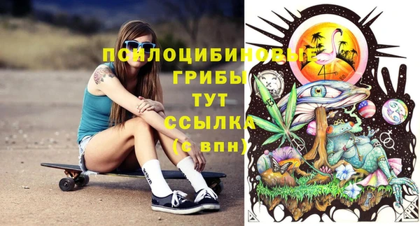 дживик Белокуриха