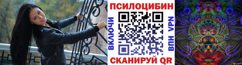 где можно купить наркотик  Улан-Удэ  Псилоцибиновые грибы прущие грибы 