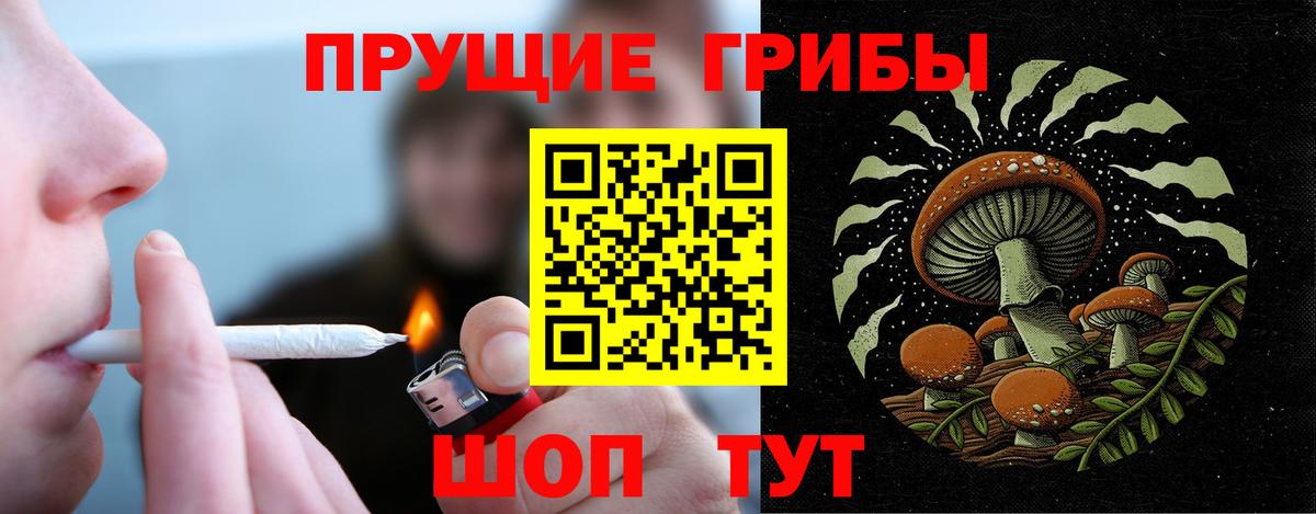 Псилоцибиновые грибы прущие грибы Улан-Удэ